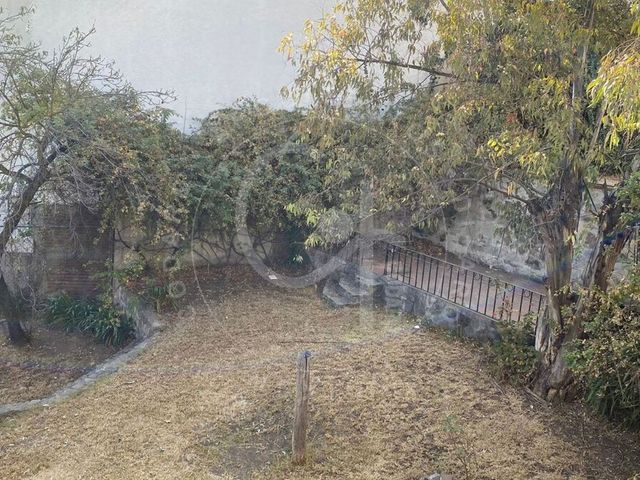 place photo 26