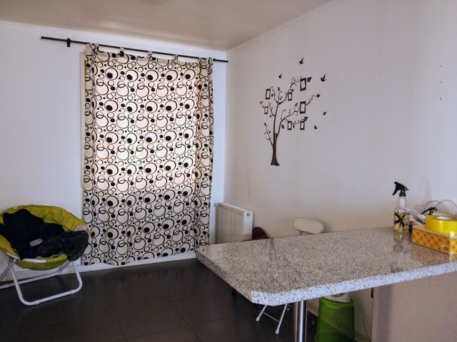 place photo 26