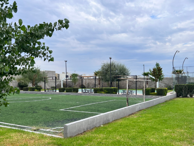 place photo 23