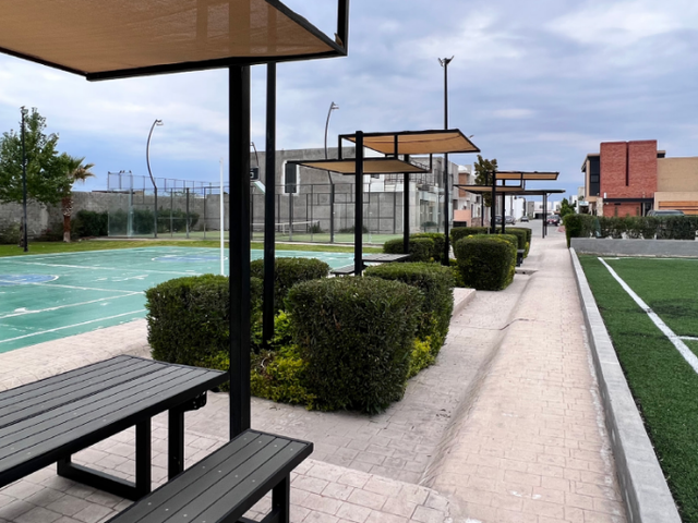 place photo 21