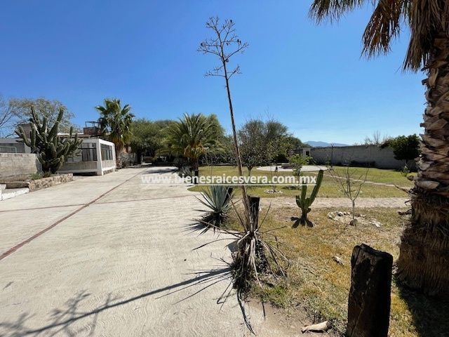place photo 40