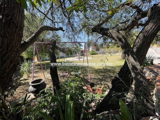 place photo 49