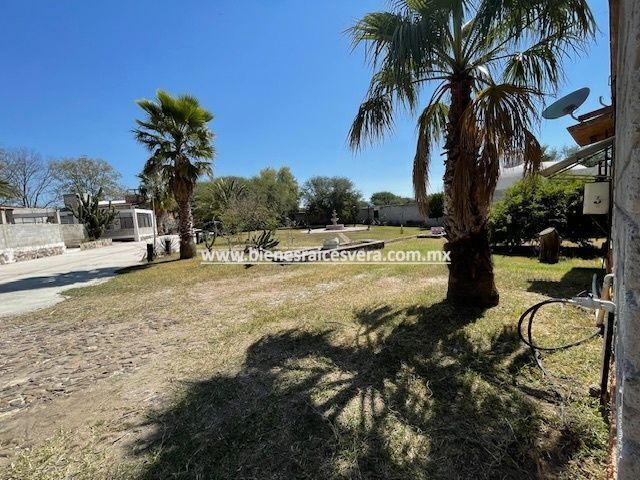 place photo 38