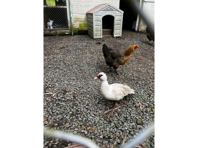 place photo 21