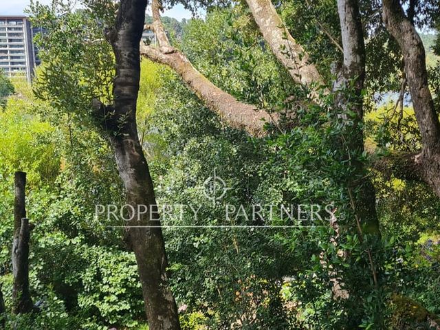 place photo 57