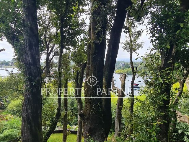 place photo 40