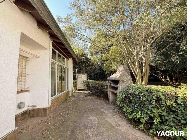 place photo 37