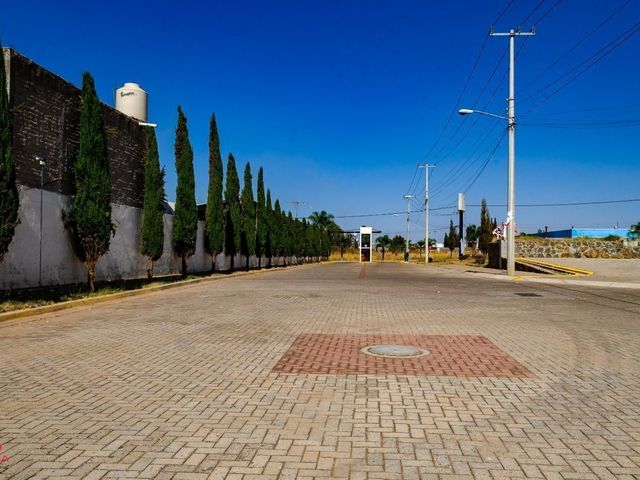 place photo 14