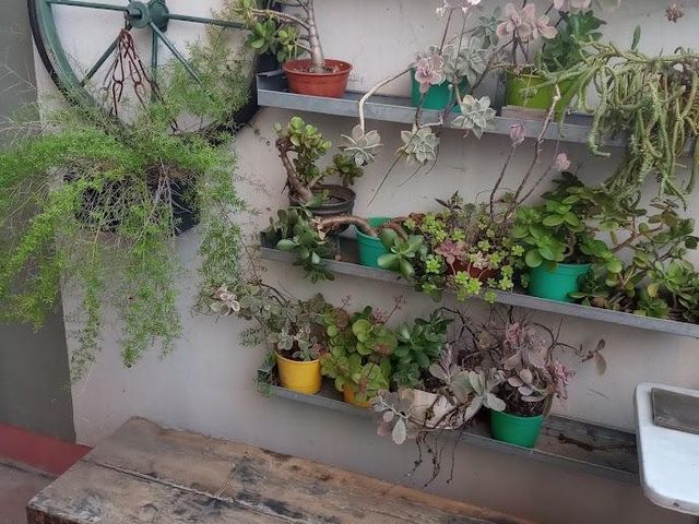 place photo 25