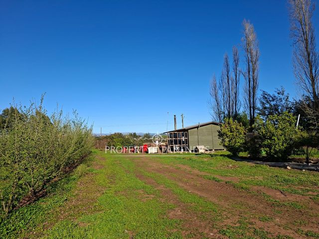 place photo 36
