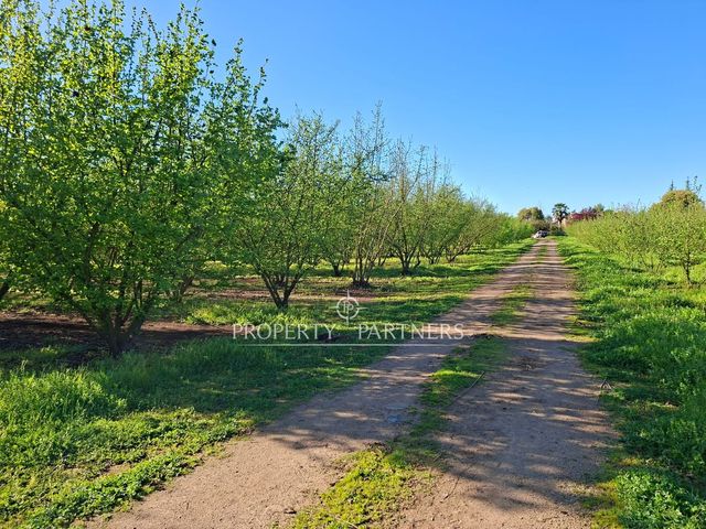 place photo 33