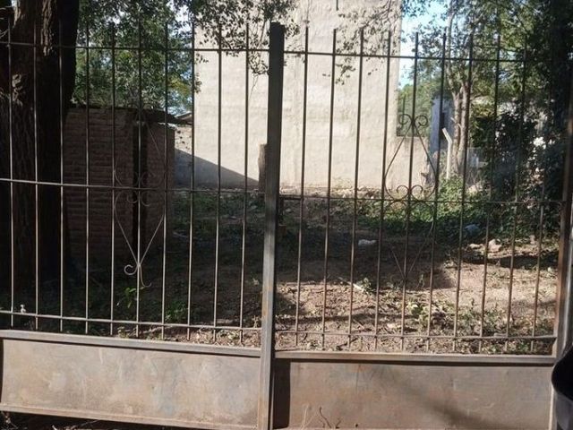 place photo 13