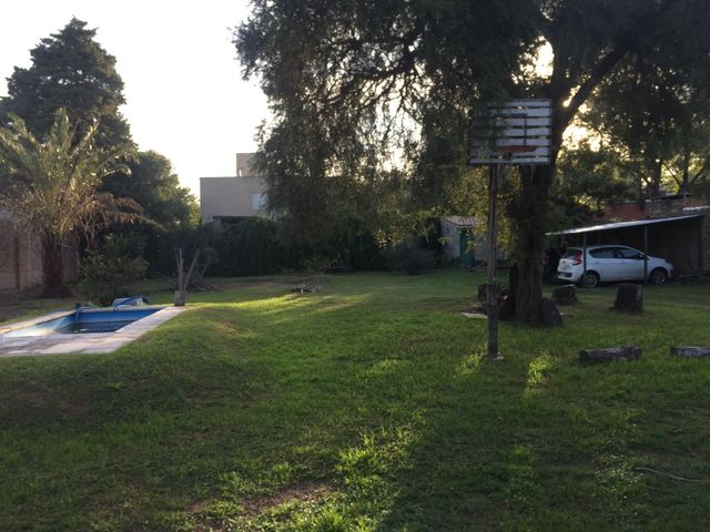place photo 17