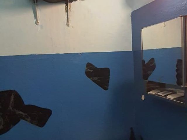 place photo 41