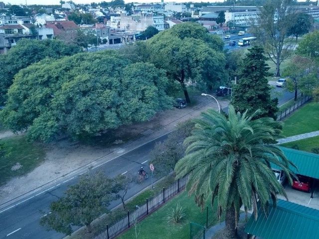 place photo 15
