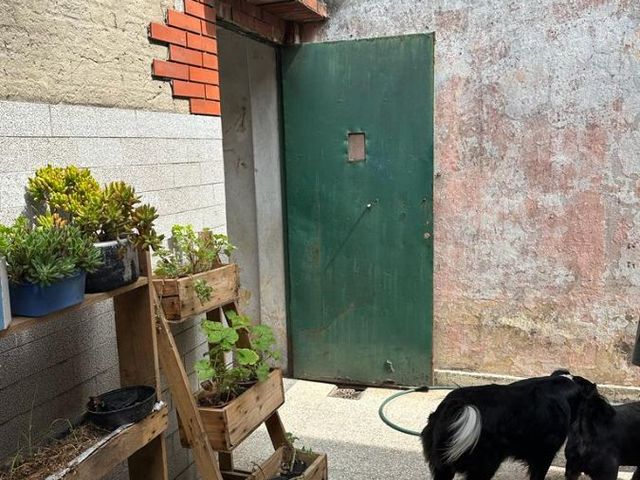 place photo 58