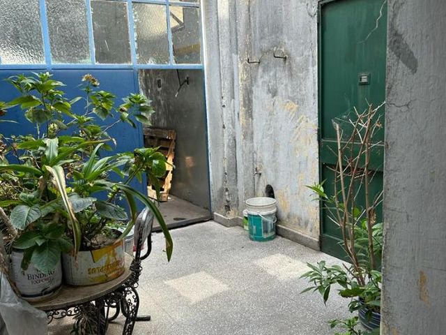 place photo 38