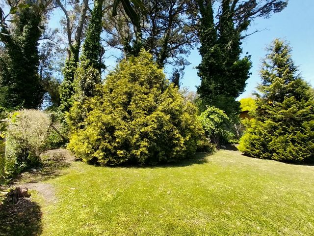 place photo 46