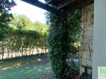 place photo 50