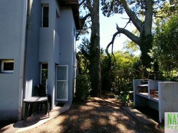 place photo 52