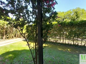 place photo 49
