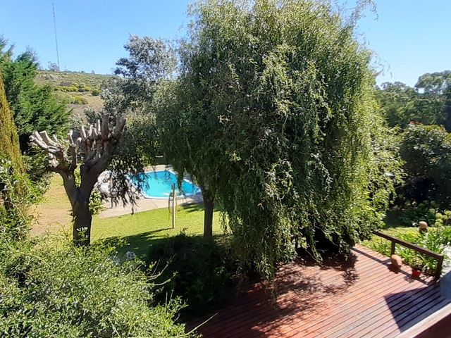 place photo 40