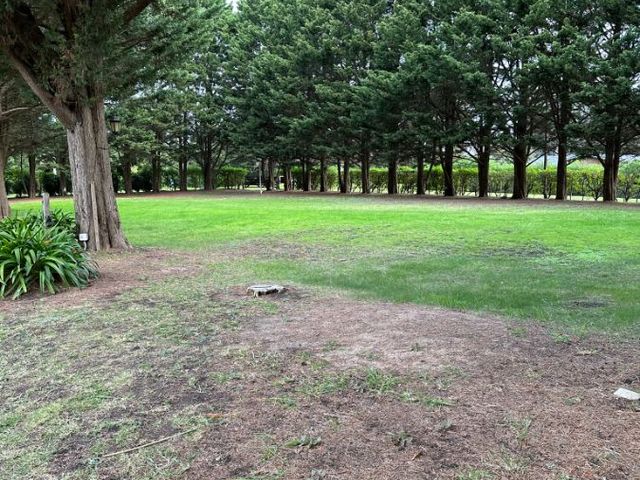 place photo 17