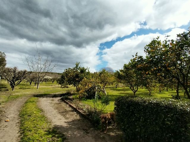 place photo 41