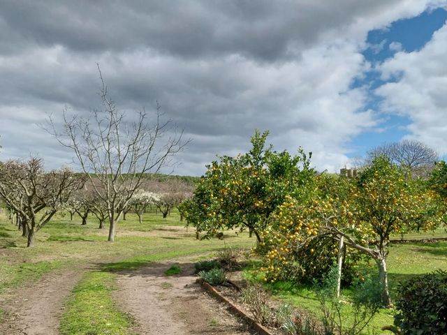 place photo 43