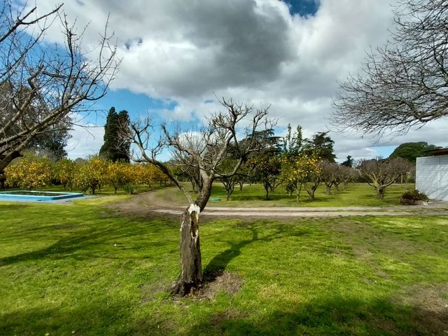 place photo 50