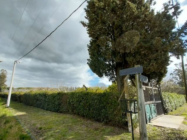 place photo 39