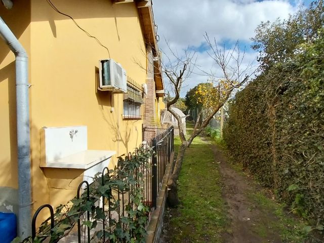 place photo 52
