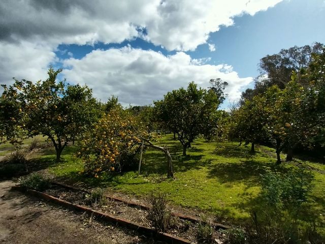 place photo 42
