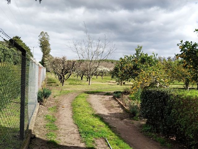 place photo 47