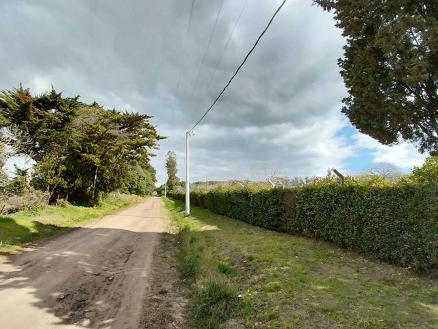 place photo 40