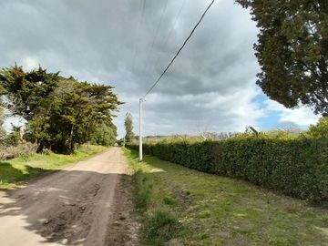 place photo 40