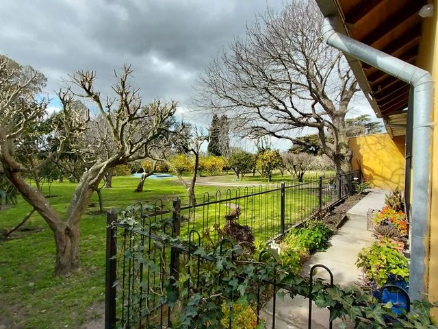 place photo 53