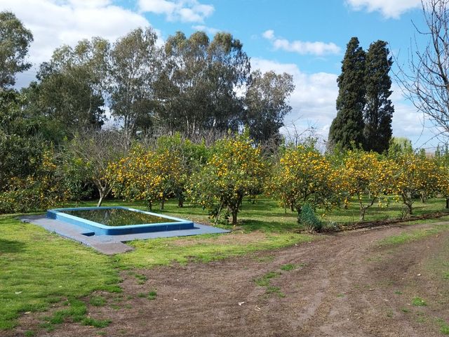 place photo 57