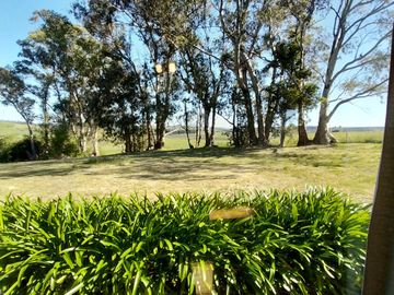 place photo 34