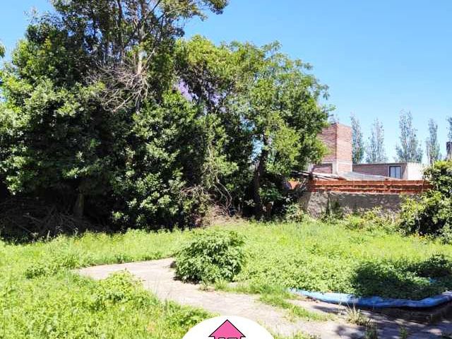 place photo 12