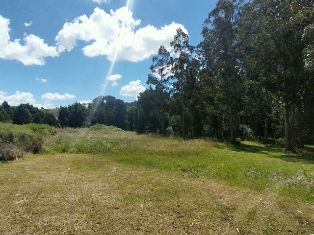 place photo 48
