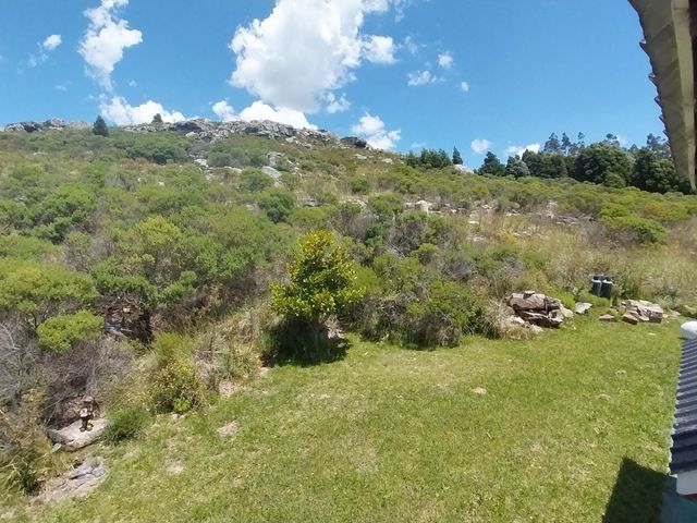 place photo 38