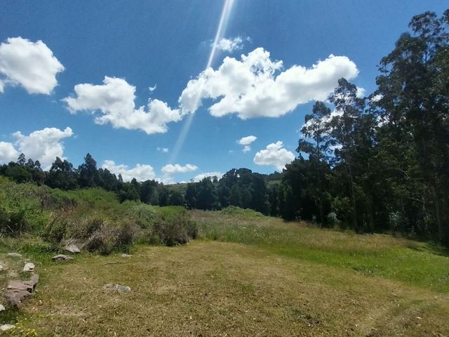place photo 47