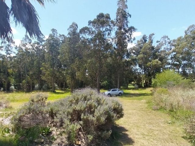 place photo 46