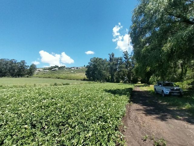 place photo 67