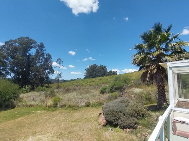 place photo 45