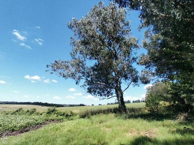 place photo 52