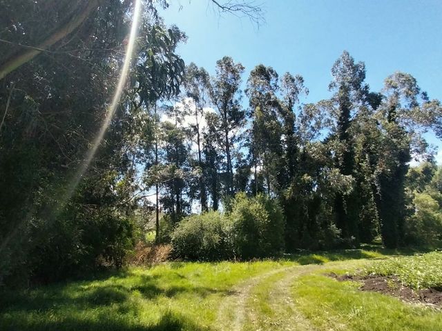 place photo 54