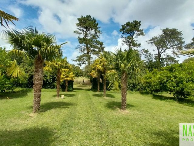 place photo 35