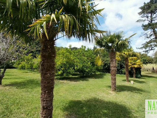 place photo 34